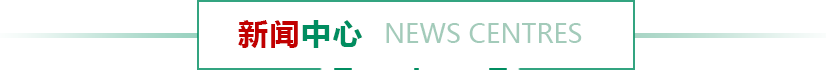 新聞資訊
